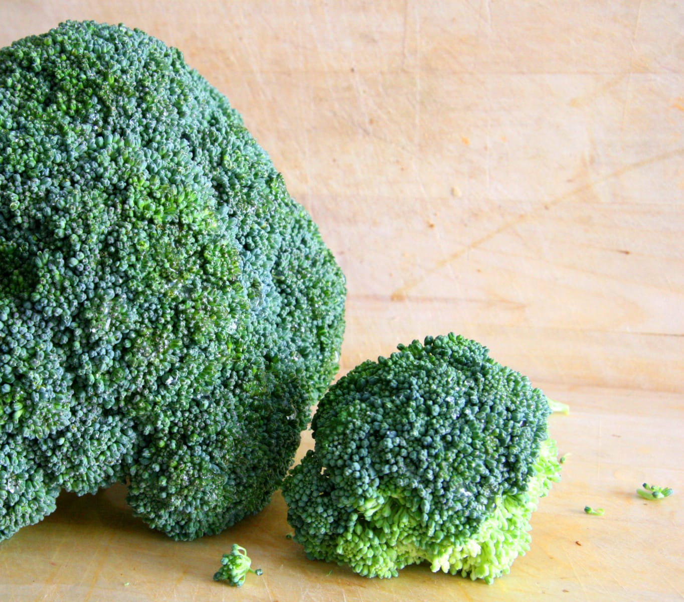 broccoli-1318644 (2)